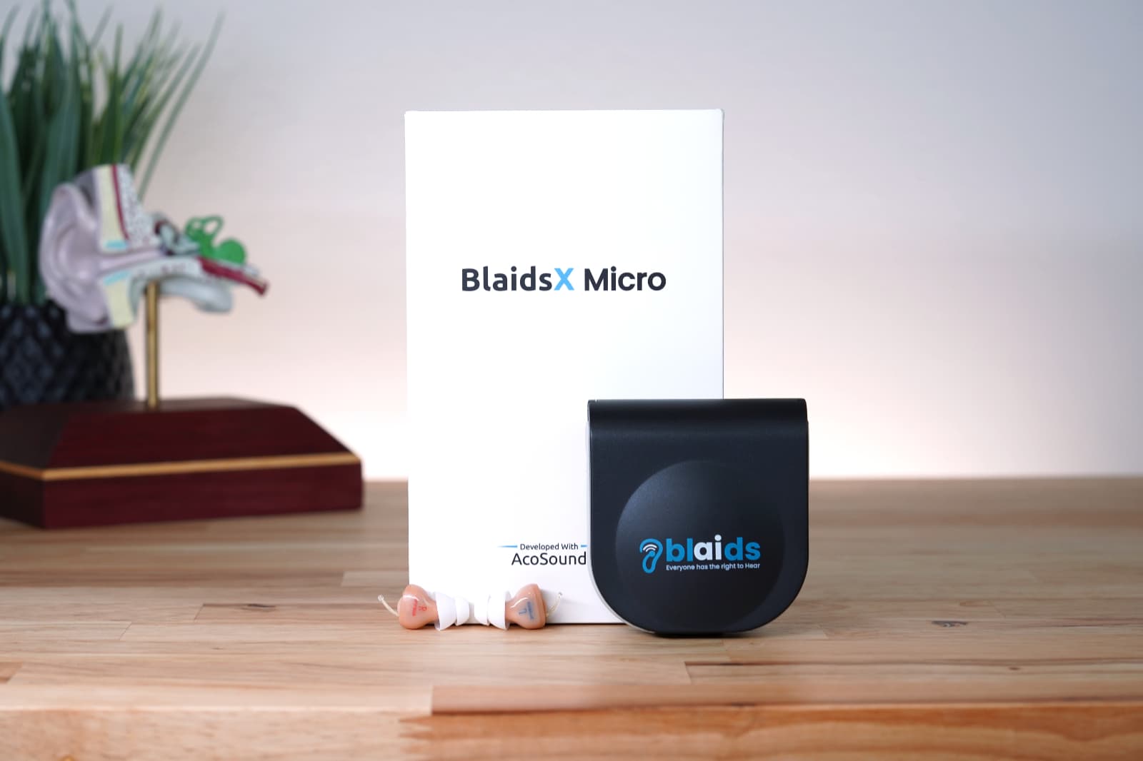 BlaidsX Micro Lab